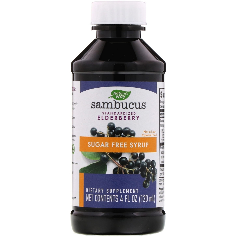 Nature's Way, Sambucus, Elderberry Syrup, Sugar-Free, 4 fl oz (120 ml)